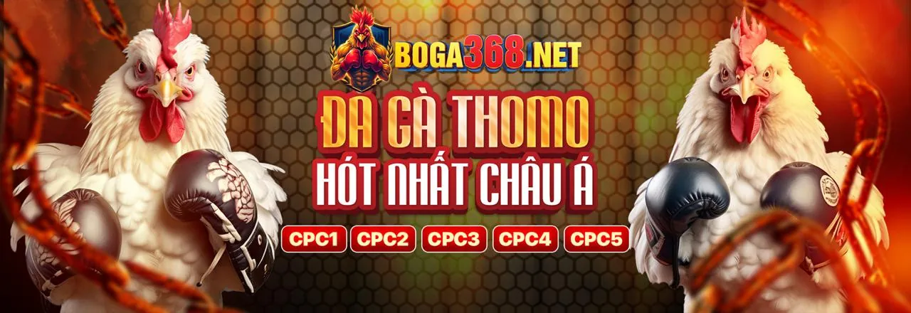 Đá Gà big777 bet – Sân Chơi Đỉnh Cao